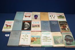 A box of 19 Observer's books to include Automobiles, Aircraft, Locomotives etc.