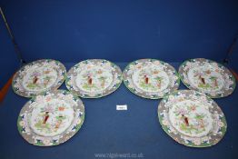 Six old Mason's plates with pink and pale orange blooms and pale green foliage.