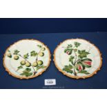 Two French Nove plates with scalloped edges and basket weave painted decoration,