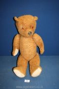An old jointed brown Teddy Bear with growler and glass eyes, (some wear to nose and pads),