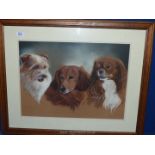 A framed and mounted pastel painting depicting three dogs, signed lower left L. Dixon, 31" x 25".