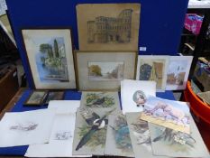 A quantity of pictures to include unframed Basil Ede bird prints,