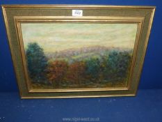 An Oil on canvas landscape, signed Foster.