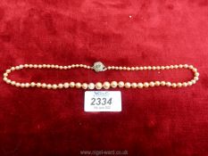 A simulated pearl necklace, a/f in Lotus pearl box with receipt.