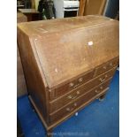 Reproduction bureau a/f.