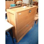 Modern shoe cupboard 39 1/4" wide x 10 1/4" deep x 39" high.