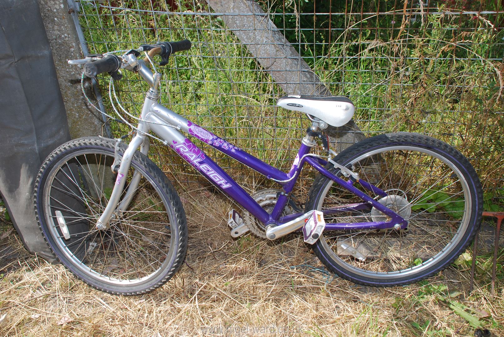 A Raleigh 18 speed girls mountain bike.