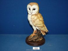 A Leonardo collection model of a Barn Owl, some scratches to base and wings.