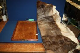 Five Antelope skins and a wooden tray with brass handles (a/f).