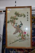 A colourful oriental silk on silk embroidery of peacocks perched in a pine tree, framed and glazed,