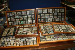 Twelve frames of Cigarette cards, not full sets but including butterflies, Will's Cigarettes,