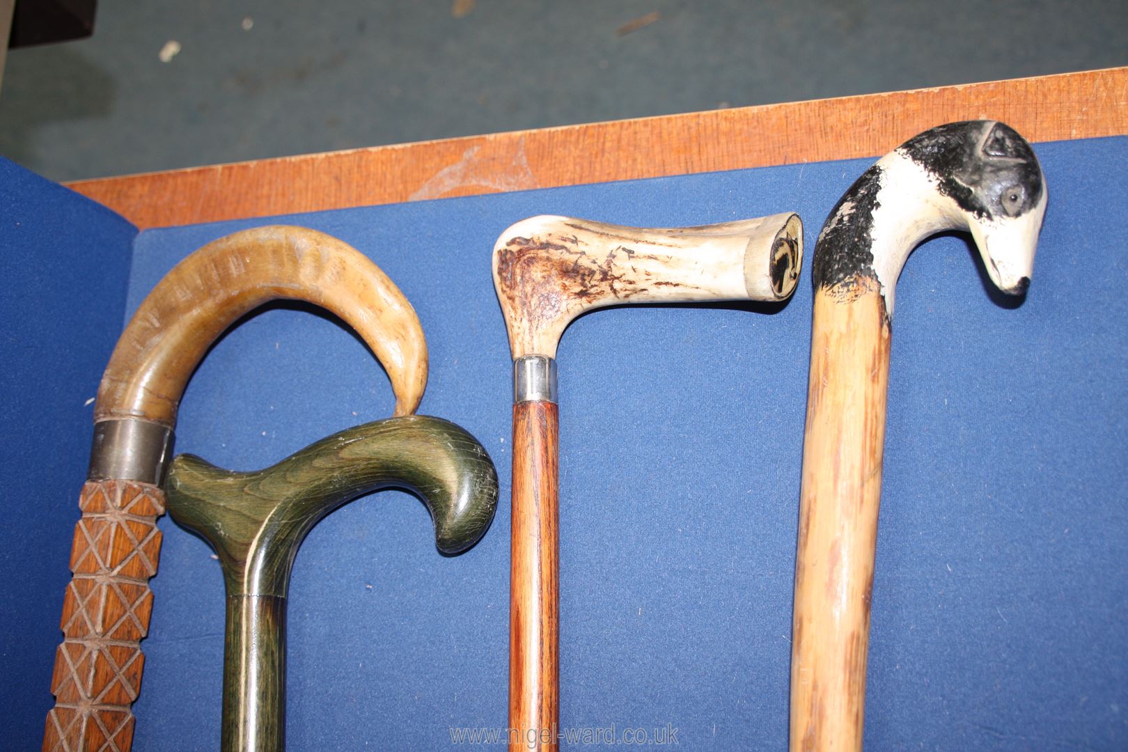 A quantity of walking sticks to include one with ram horn handle, - Image 2 of 2