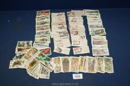 A quantity of Tea cards including Ty-Phoo Tea animal cards, Brooke Bond tropical birds,
