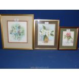 Three framed watercolours to include 'Brambles' by Anne Roylance,