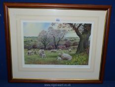 A framed and mounted Anthony Fraser limited Edition Print no.