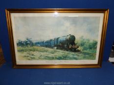 A framed David Shepherd Limited Edition Print no.