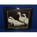 A framed oil on board of Geese, signed lower right Sarah Hay, 19'' x 17''.