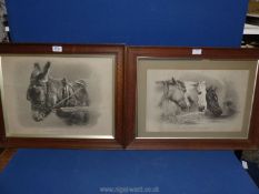 A wooden framed Plate 5 - studies of animals in two crayons from nature by M.H. Long and no.