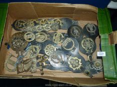 A quantity of Horse brasses on Martingales etc.