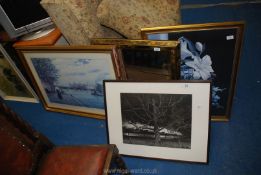 Two prints, a black and white photograph of a tree and a mirror.