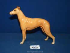 A Beswick Greyhound 'C.H. Jovial Roger' in golden shade, 5 3/4" tall.