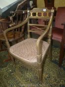 An elegant olive green and gilt detailed open armed Elbow Chair having a caned seat,
