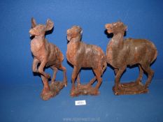 Three hand carved Ironwood antelopes, (lacking horns and some ears), the largest being 28 cm tall.