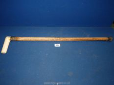 A bone handled walking stick, the white metal band inscribed S.F. Farr.