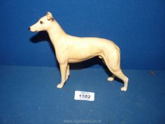 A Beswick Greyhound 'C.H. Jovial Roger' in honey shade, rear left leg back repaired, 5 3/4" tall.