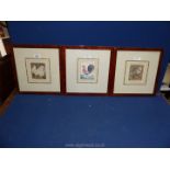 Three framed poultry Prints to include Miss Fairhurst's pair of white Dorkings and Mr T.C.