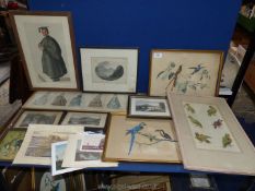 A quantity of Prints to include Engravings of Llanthony Abbey, Abergavenny, Exotic birds etc.