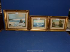 Three small framed Oil paintings to include Pond with cottage,