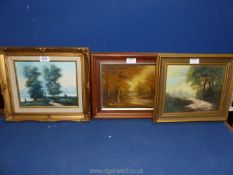 Three small framed Oil paintings depicting river and wood landscapes.