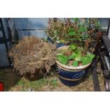 Three large glazed planters 15" diameter x 13" high.