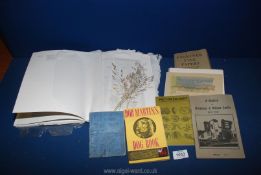 Miscellaneous paper samples, the 'Guide' word book, A History of Bridstow and Wilton Castle',