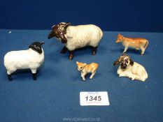 A quantity of farm animal figurines including a small black faced Beswick sheep,