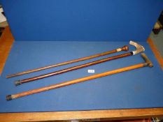 Three walking sticks, one engraved 'G. Bell, Stationer, Newport', two with worn handles.