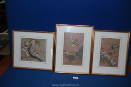 Three silk pictures depicting birds and flowers, 7" x 8", 10" x 6" and 8¾" x 5½".