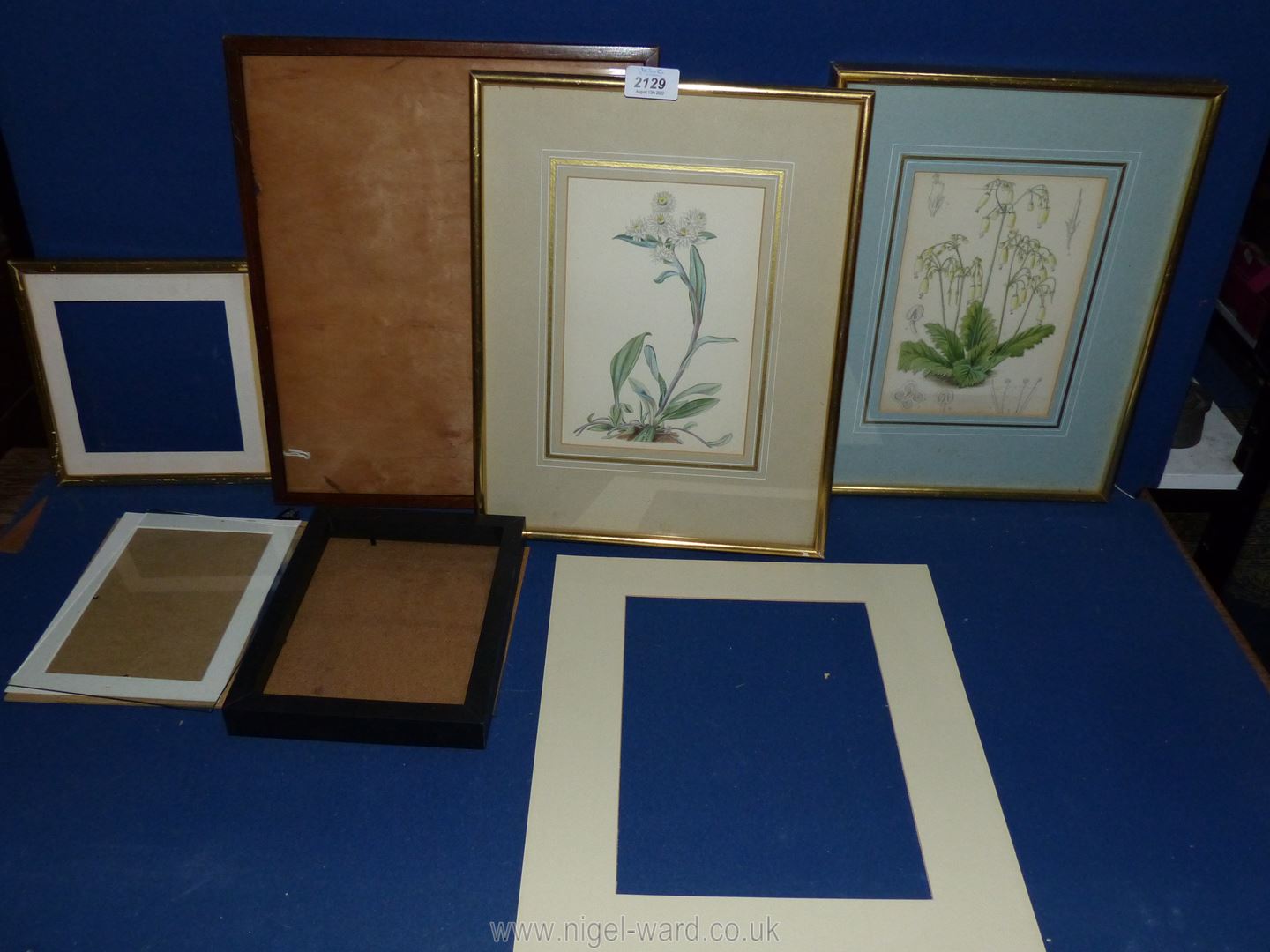 Two framed Botanical prints, empty frames etc.