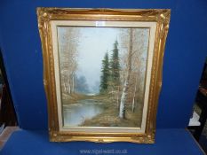 An unsigned Oil on canvas in a gilt frame of a River flowing through woodland, 21 1/4" x 25 1/2".
