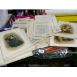 A large quantity of unframed prints and pages taken from books.