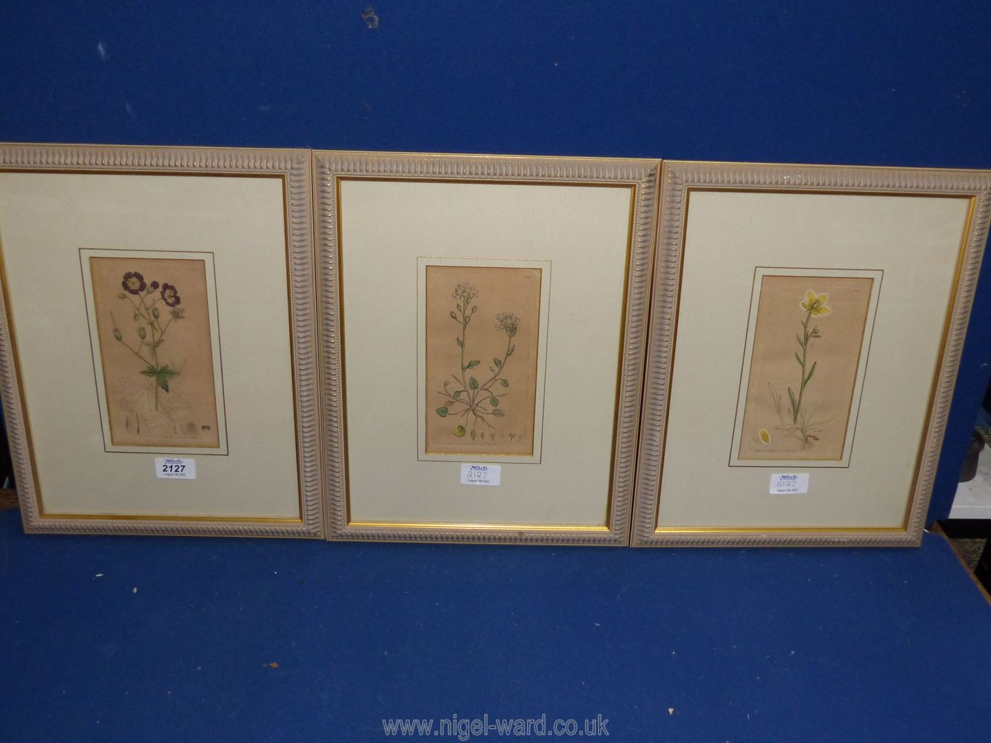 Three framed Botanical prints dated 1795, 1799 and 1802.