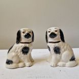 A cute and collectable pair of miniature Staffordshire spaniels decorated in black and coppery gold,