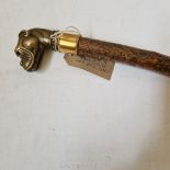 A rare vintage hazel walking stick with a finely cast bronze handle in the form of the head of a