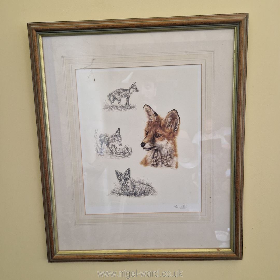Two fox animal portrait prints by Ann Seward: a limited edition fox portrait print (140/300) and