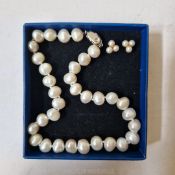 A vintage freshwater pearl choker with a pair of gold and cultured pearl ear studs, boxed.