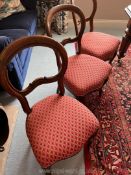 Set of 6 Victorian balloon back dining chairs (various damages and old restoration).