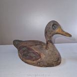 An antique 'Mallard' wooden duck decoy, probably c.