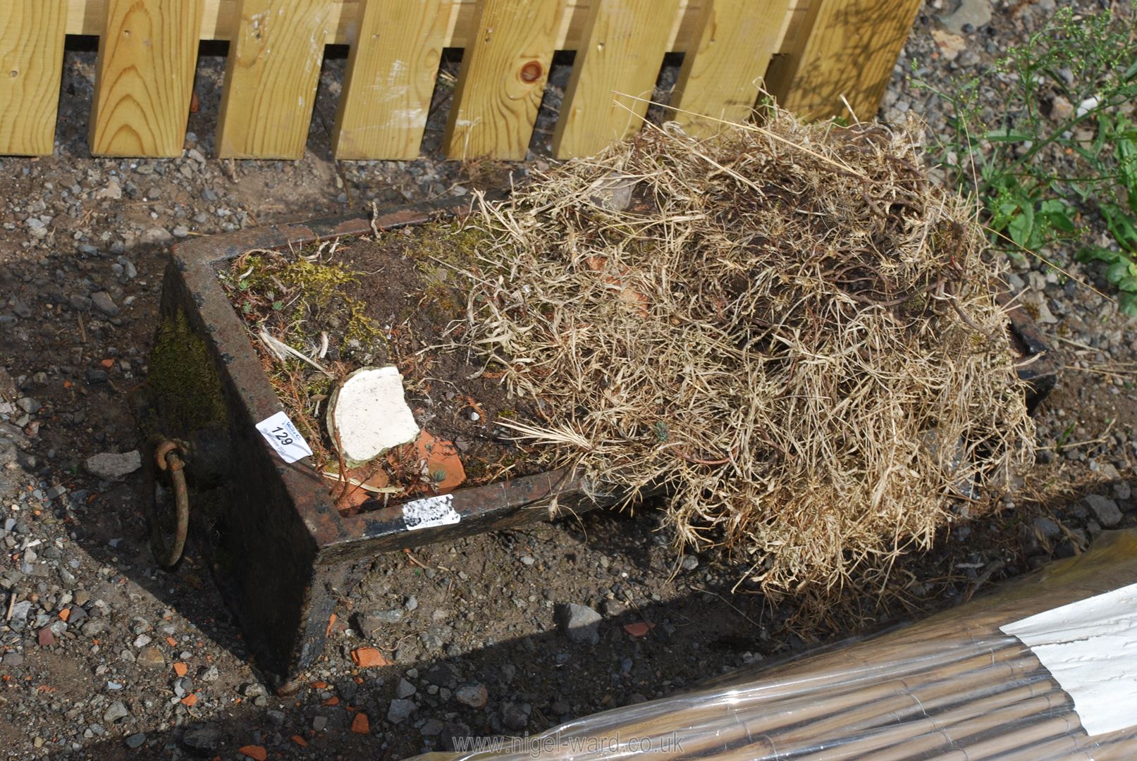 A cast iron pig trough, 2' long x 10 1/2".