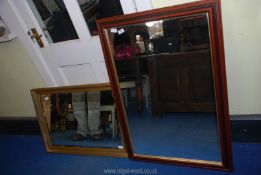 Gilt and darkwood framed Mirrors